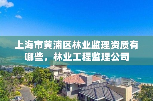 上海市黄浦区林业监理资质有哪些，林业工程监理公司