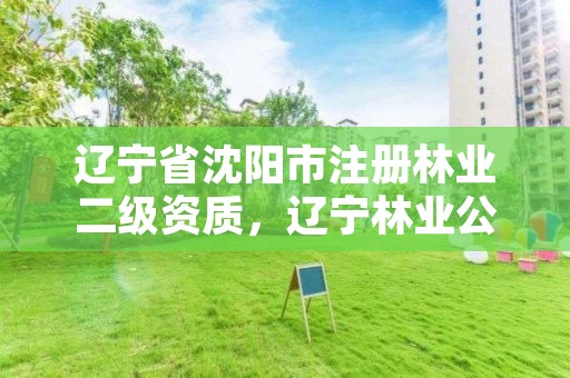 辽宁省沈阳市注册林业二级资质，辽宁林业公司