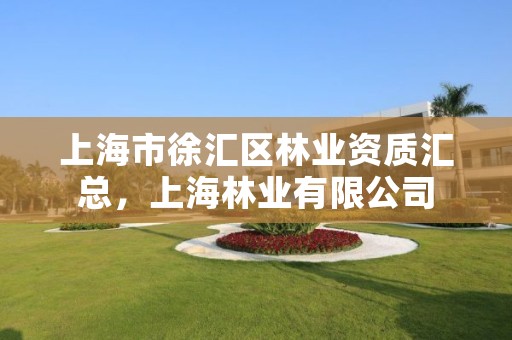 上海市徐汇区林业资质汇总，上海林业有限公司