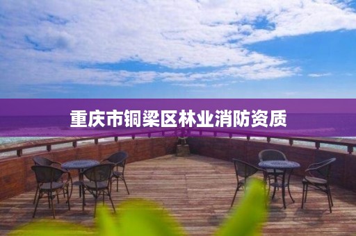 重庆市铜梁区林业消防资质
