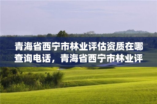 青海省西宁市林业评估资质在哪查询电话,青海省西宁市林业评估资质在哪查询电话号码