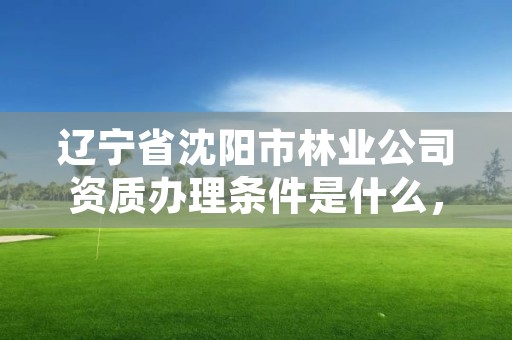 辽宁省沈阳市林业公司资质办理条件是什么,沈阳林业总场