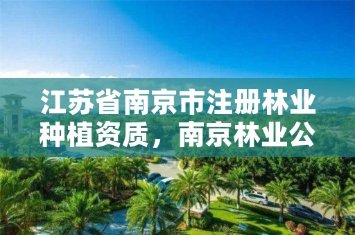 江苏省南京市注册林业种植资质，南京林业公司