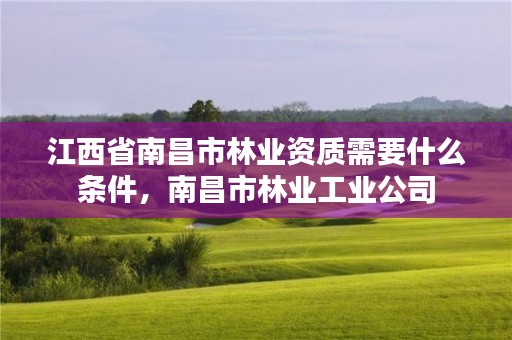 江西省南昌市林业资质需要什么条件，南昌市林业工业公司