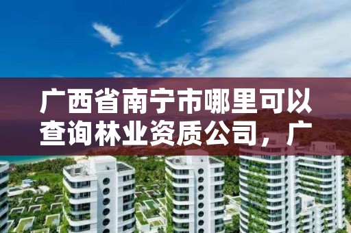 广西省南宁市哪里可以查询林业资质公司，广西省南宁市哪里可以查询林业资质公司名单