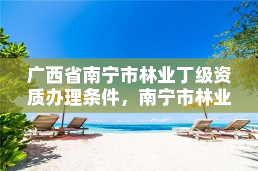 广西省南宁市林业丁级资质办理条件，南宁市林业产业行业协会