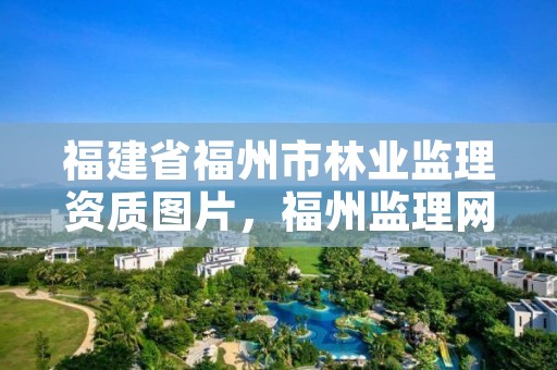 福建省福州市林业监理资质图片,福州监理网
