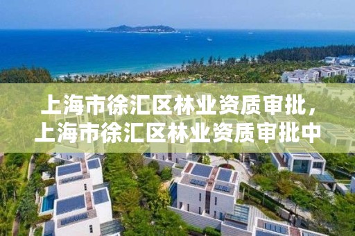 上海市徐汇区林业资质审批，上海市徐汇区林业资质审批中心地址