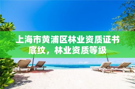 上海市黄浦区林业资质证书底纹，林业资质等级