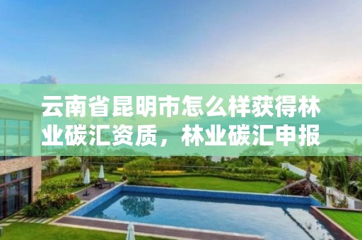 云南省昆明市怎么样获得林业碳汇资质,林业碳汇申报官网