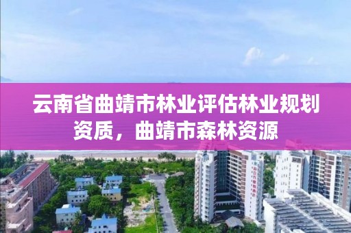 云南省曲靖市林业评估林业规划资质，曲靖市森林资源