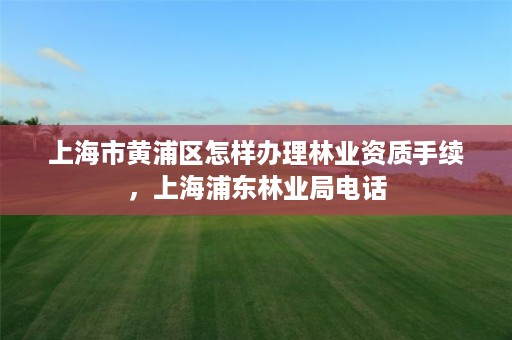 上海市黄浦区怎样办理林业资质手续，上海浦东林业局电话