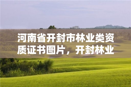 河南省开封市林业类资质证书图片,开封林业局有下属林场吗?