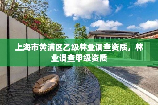 上海市黄浦区乙级林业调查资质，林业调查甲级资质