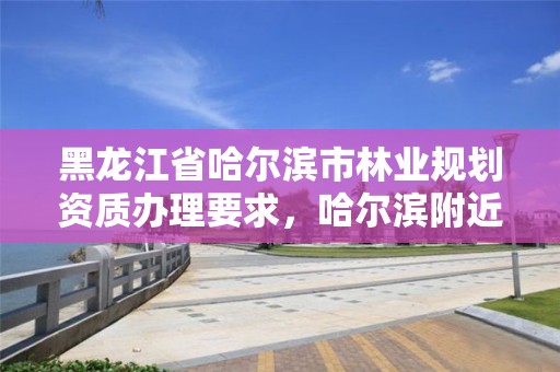 黑龙江省哈尔滨市林业规划资质办理要求,哈尔滨附近的林业局