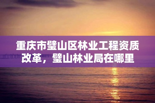 重庆市璧山区林业工程资质改革,璧山林业局在哪里