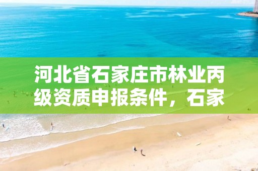 河北省石家庄市林业丙级资质申报条件，石家庄林业管理员