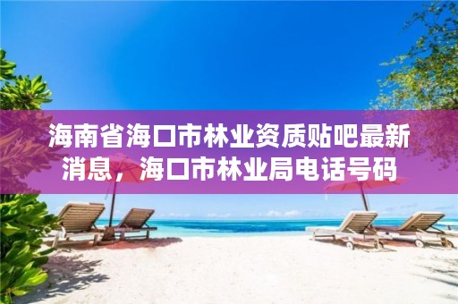 海南省海口市林业资质贴吧最新消息,海口市林业局电话号码
