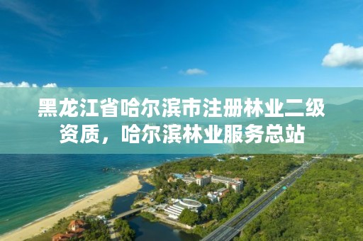 黑龙江省哈尔滨市注册林业二级资质，哈尔滨林业服务总站