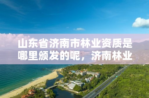 山东省济南市林业资质是哪里颁发的呢,济南林业公司
