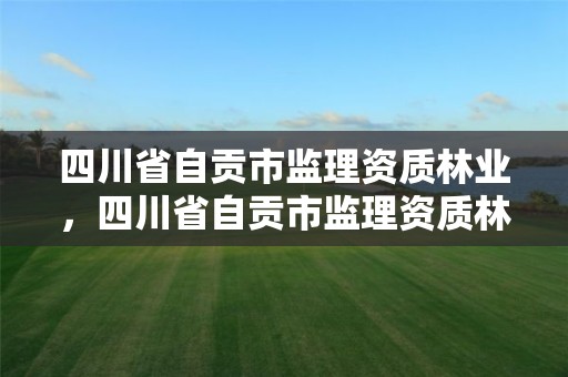 四川省自贡市监理资质林业,四川省自贡市监理资质林业公司