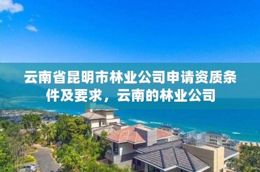 云南省昆明市林业公司申请资质条件及要求，云南的林业公司
