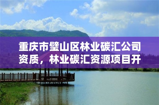 重庆市璧山区林业碳汇公司资质,林业碳汇资源项目开发的公司