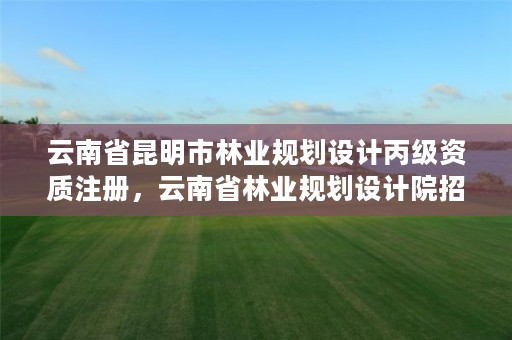 云南省昆明市林业规划设计丙级资质注册，云南省林业规划设计院招聘