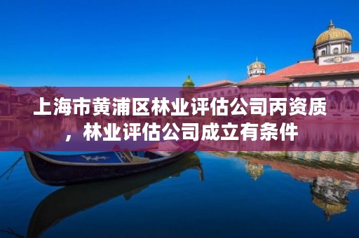 上海市黄浦区林业评估公司丙资质，林业评估公司成立有条件