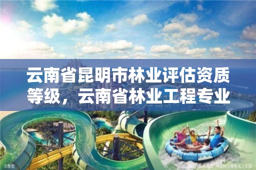 云南省昆明市林业评估资质等级,云南省林业工程专业技术资格评审条件
