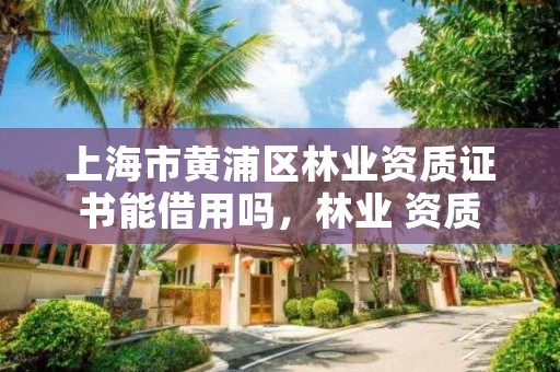 上海市黄浦区林业资质证书能借用吗，林业 资质