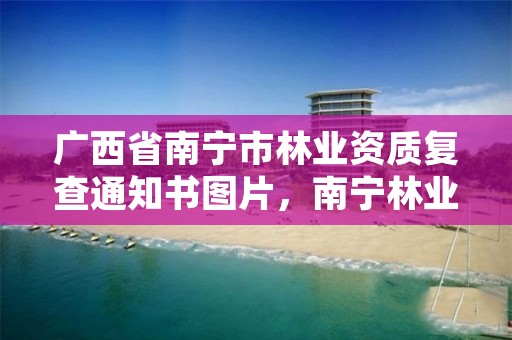 广西省南宁市林业资质复查通知书图片，南宁林业厅电话