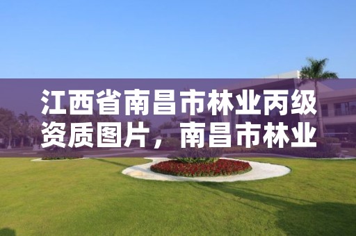江西省南昌市林业丙级资质图片,南昌市林业综合服务中心