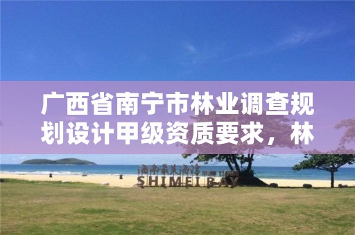 广西省南宁市林业调查规划设计甲级资质要求，林业调查设计规划资质管理规定告