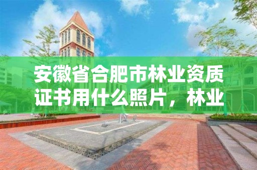 安徽省合肥市林业资质证书用什么照片,林业工程资质证书