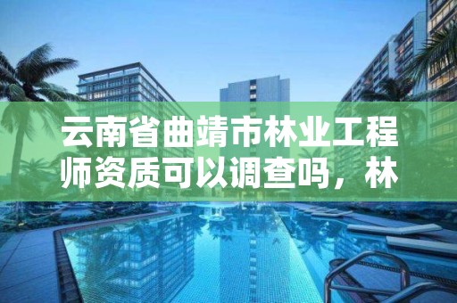 云南省曲靖市林业工程师资质可以调查吗,林业工程师资格