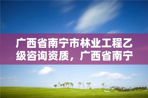广西省南宁市林业工程乙级咨询资质，广西省南宁市林业工程乙级咨询资质有哪些