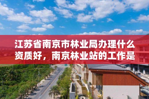 江苏省南京市林业局办理什么资质好,南京林业站的工作是什么
