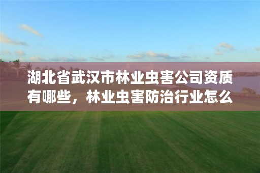 湖北省武汉市林业虫害公司资质有哪些,林业虫害防治行业怎么样