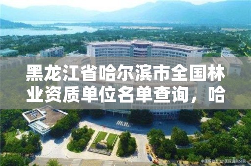 黑龙江省哈尔滨市全国林业资质单位名单查询,哈尔滨林业局管辖范围