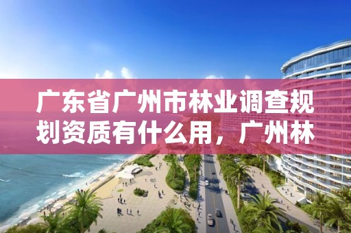 广东省广州市林业调查规划资质有什么用,广州林业调查规划院