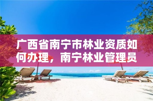 广西省南宁市林业资质如何办理,南宁林业管理员