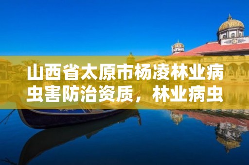 山西省太原市杨凌林业病虫害防治资质，林业病虫害防治资质审批权限