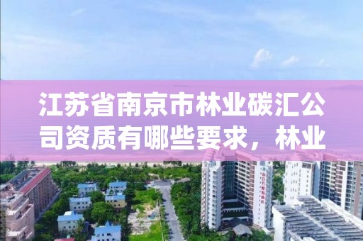 江苏省南京市林业碳汇公司资质有哪些要求，林业碳汇项目pdd
