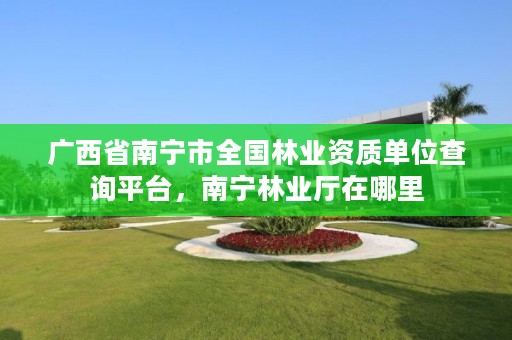 广西省南宁市全国林业资质单位查询平台，南宁林业厅在哪里