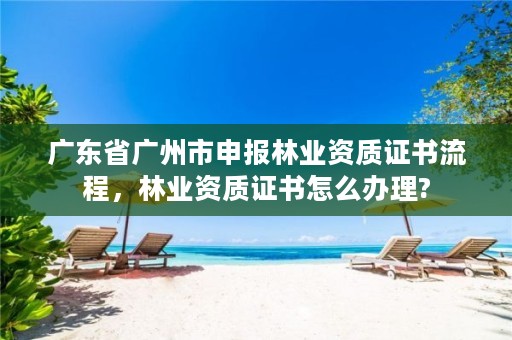 广东省广州市申报林业资质证书流程，林业资质证书怎么办理?
