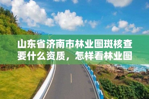山东省济南市林业图斑核查要什么资质，怎样看林业图斑