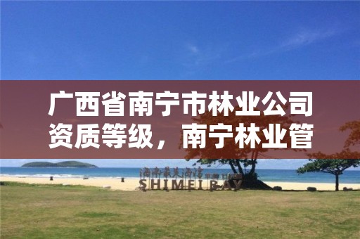 广西省南宁市林业公司资质等级，南宁林业管理员