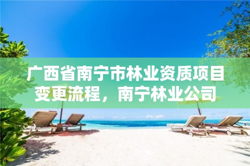 广西省南宁市林业资质项目变更流程，南宁林业公司