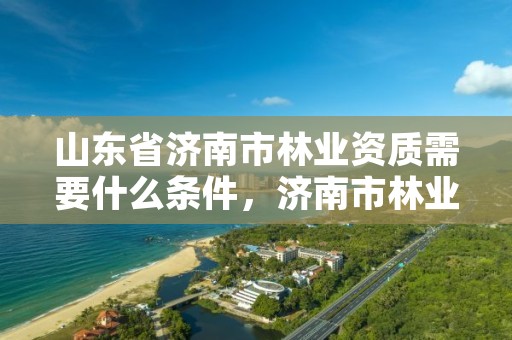 山东省济南市林业资质需要什么条件，济南市林业科学研究院